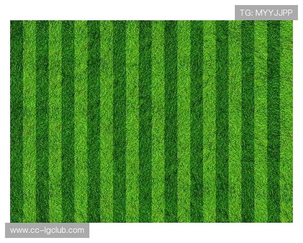 昆明环保足球测评：绿色场地与可持续发展融合的实践与挑战