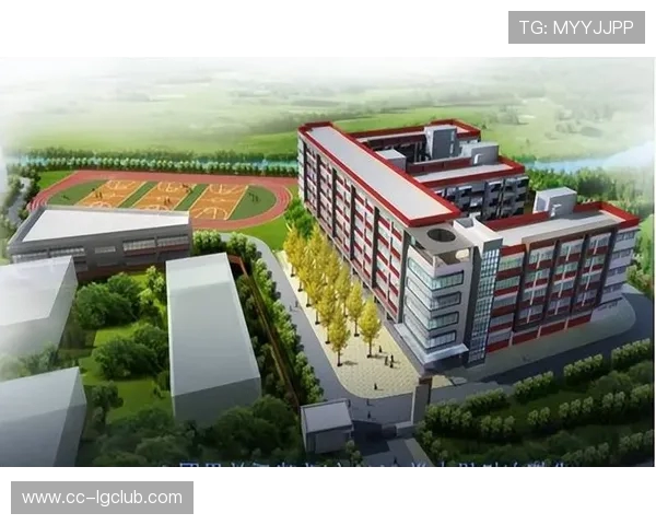 凤凰山足球场门后区域发展规划与未来建设蓝图探讨