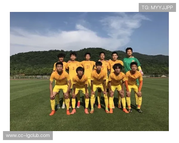 全面解析当代足球运动员奖金激励机制与待遇差异研究现状及发展趋势